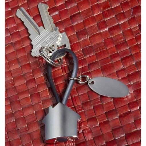 LLAVERO CASA CON PLACA MOD. M 2060 PRO - Imagen 2
